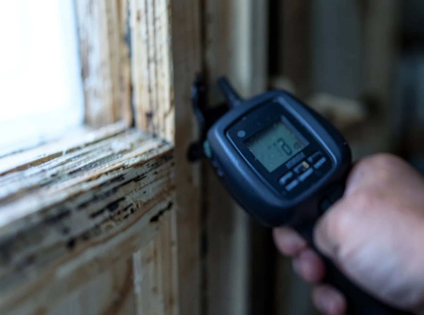 Moisture Inspection And Documentation in Falkville, AL
